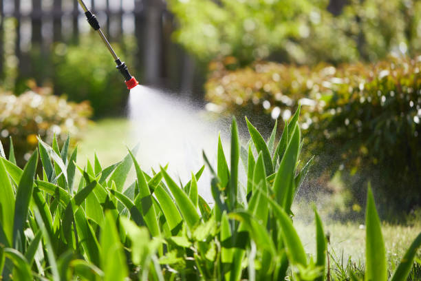 Tamper-Resistant Bait Stations for Rodents in Anchorage