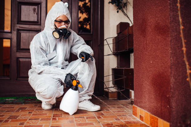 Attic and Crawl Space Rodent Treatment in Anchorage
