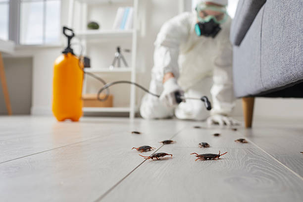Commercial Rodent Management in Anchorage